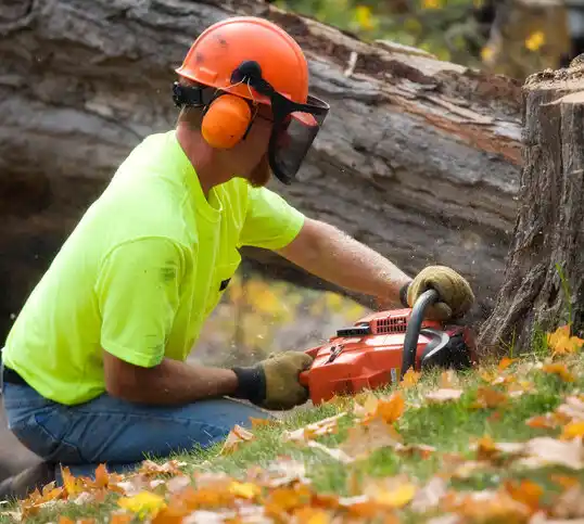 tree services Columbia Falls